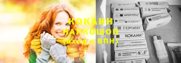 шишки Алексин