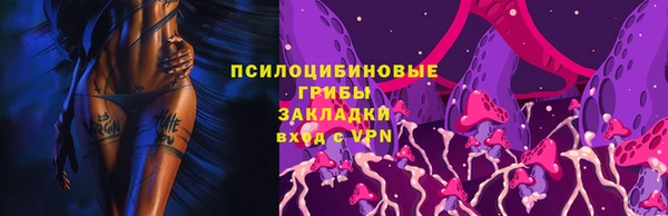 шишки Алексин