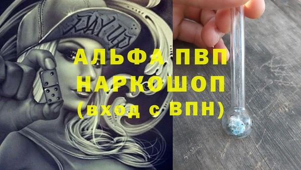 шишки Алексин