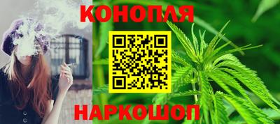 стафф Донецк