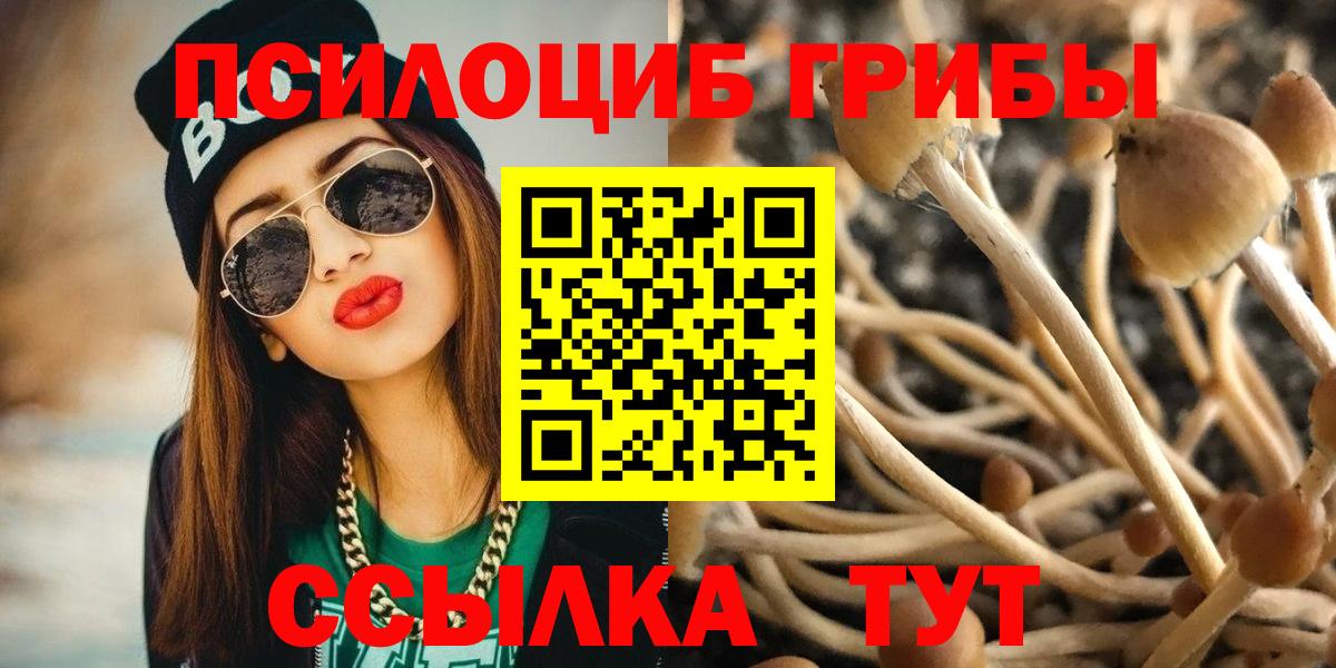 Галлюциногенные грибы Magic Shrooms Майкоп
