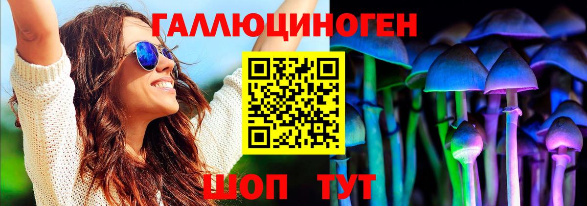 Псилоцибиновые грибы GOLDEN TEACHER  Вход с VPN  Майкоп 